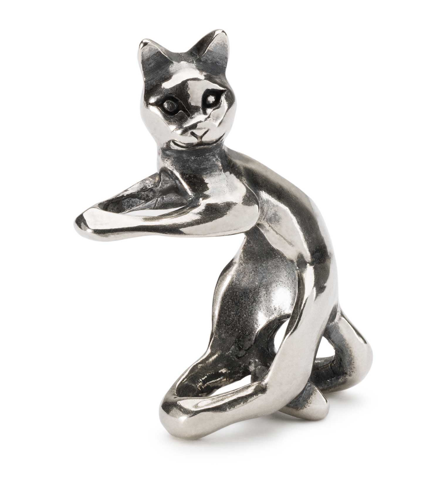 Bild von Verspielte Katze TAGBE-30153  