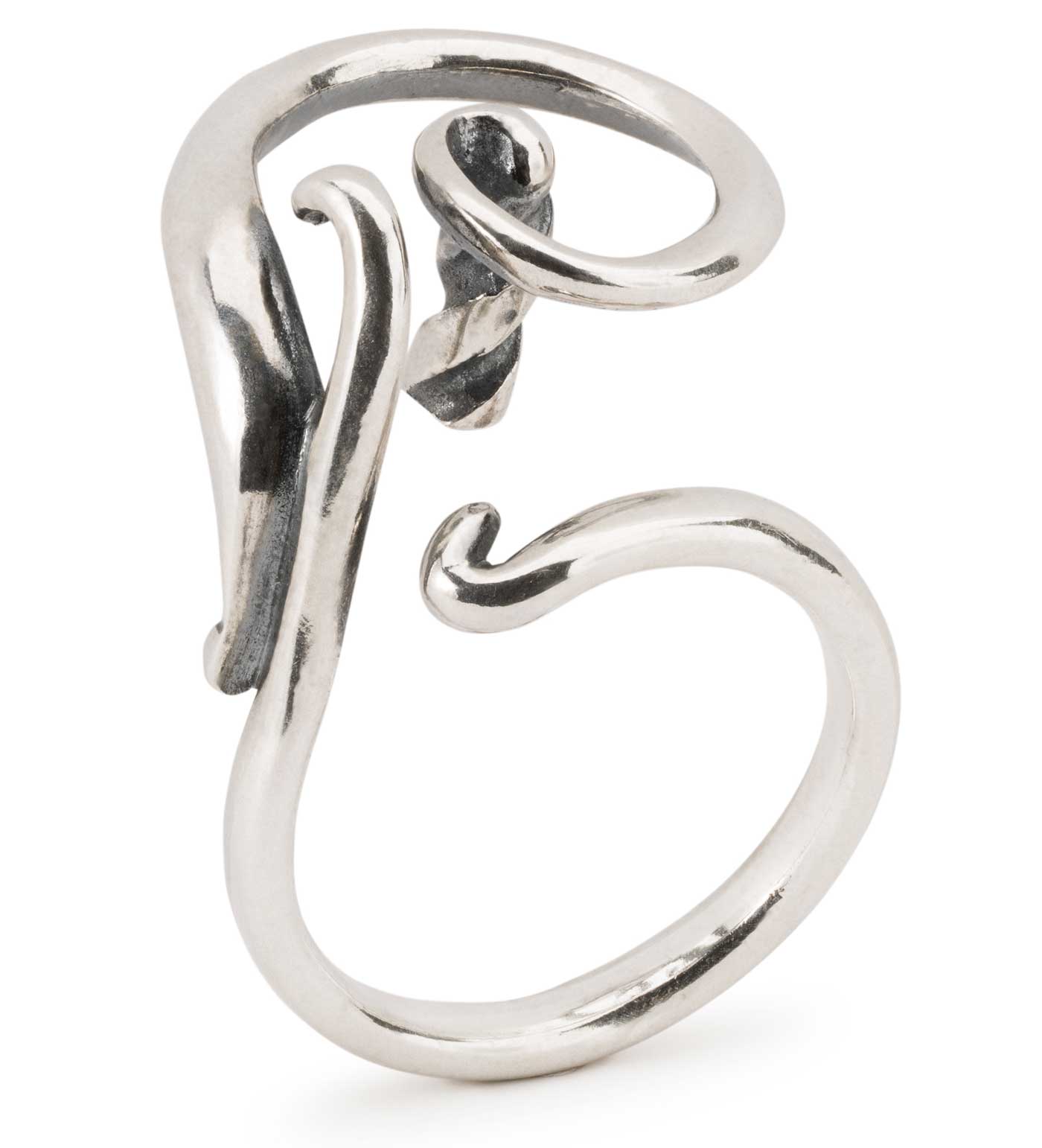 Bild von Trollbeads Wirbelwind Ring  TAGRI-00488-499